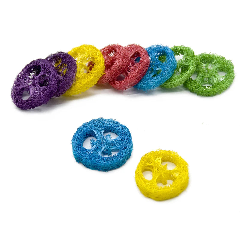 Lot de 10 jouets à mâcher en luffa naturel – Soutien dentaire et digestif pour petits animaux