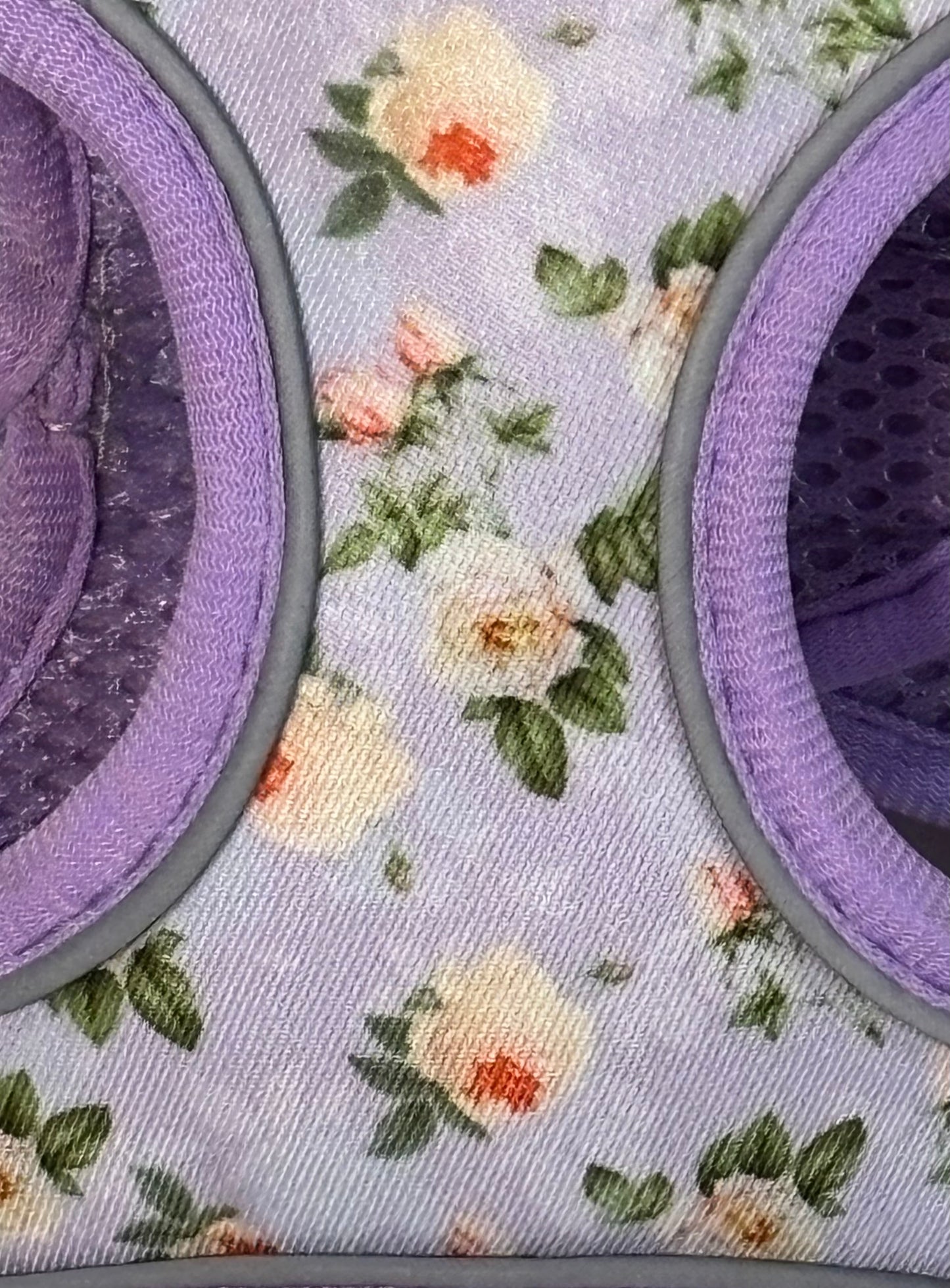 Reflective Floral Rabbit Harness Set – XXS Adjustable + Leash