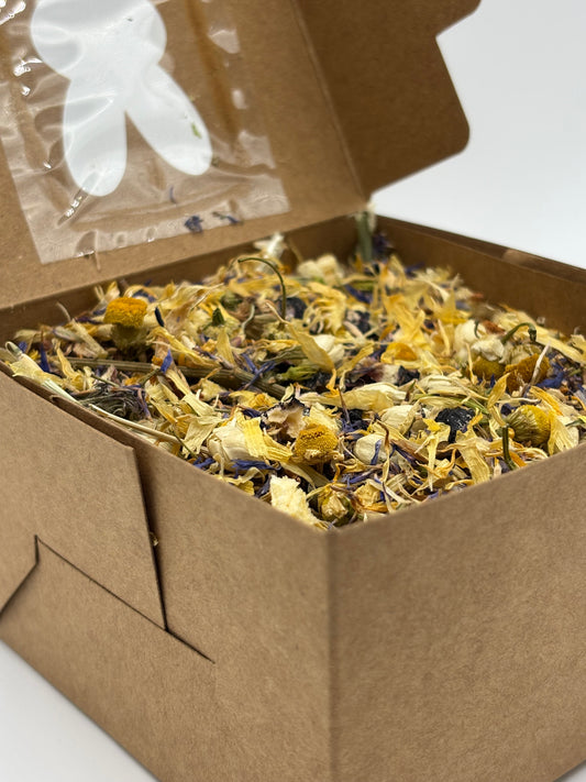 Spring Meadow Forage – Spring Edition