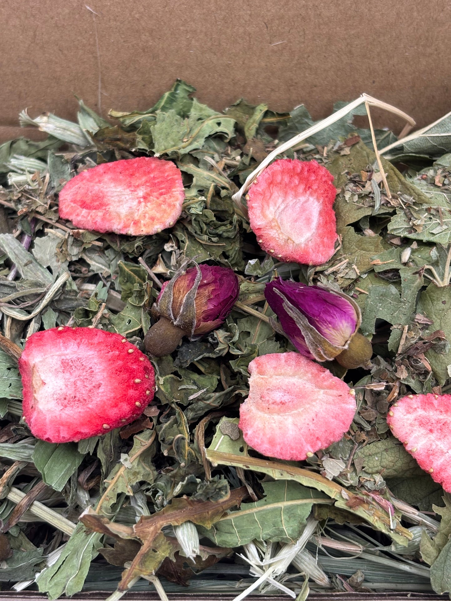 Strawberry Field Foraging Box