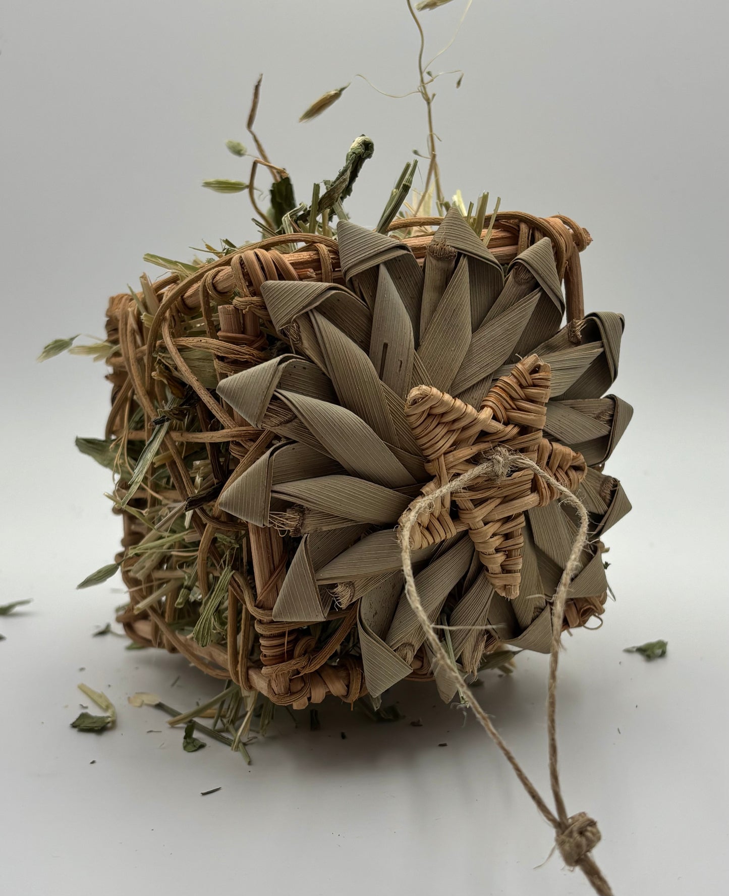Foraging Cube by Miss Bun’s