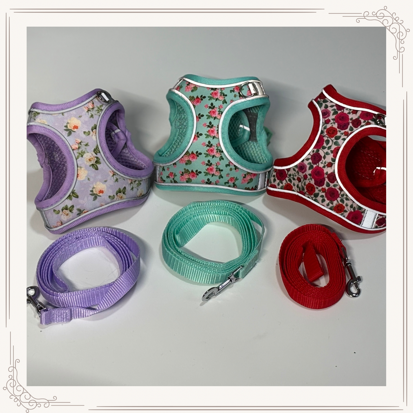 Ensemble harnais et laisse réfléchissants à motif floral pour lapin – Taille XXS ajustable + laisse