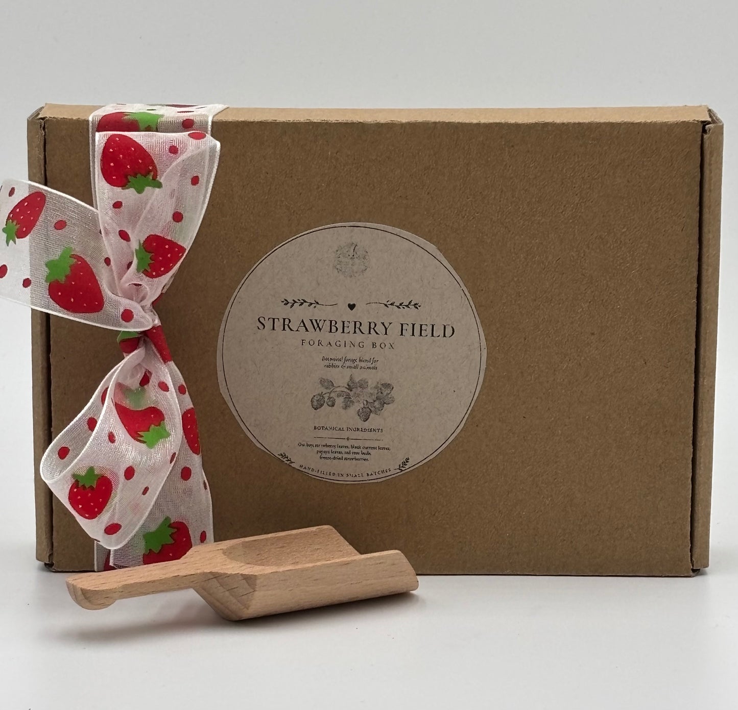 Strawberry Field Foraging Box
