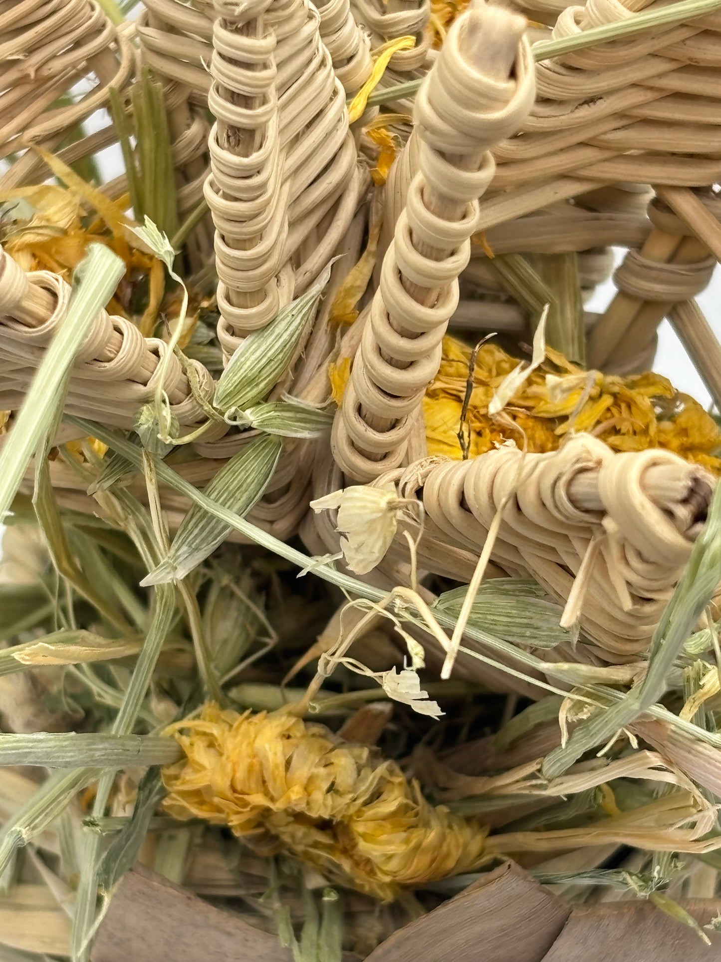 Foraging Bouquet by Miss Bun’s