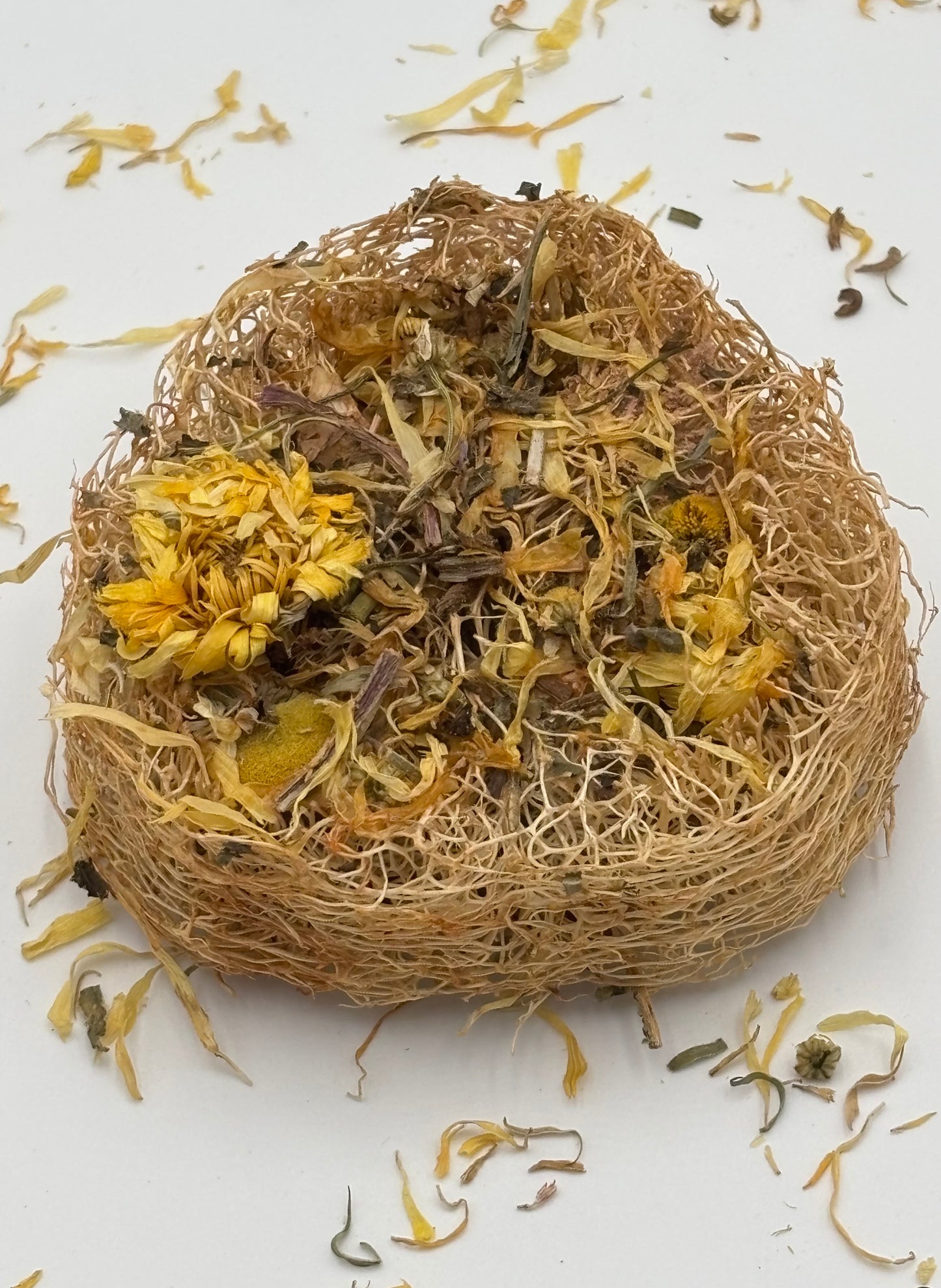 Bloom Garden Loofah Slice – Natural Rabbit Chew