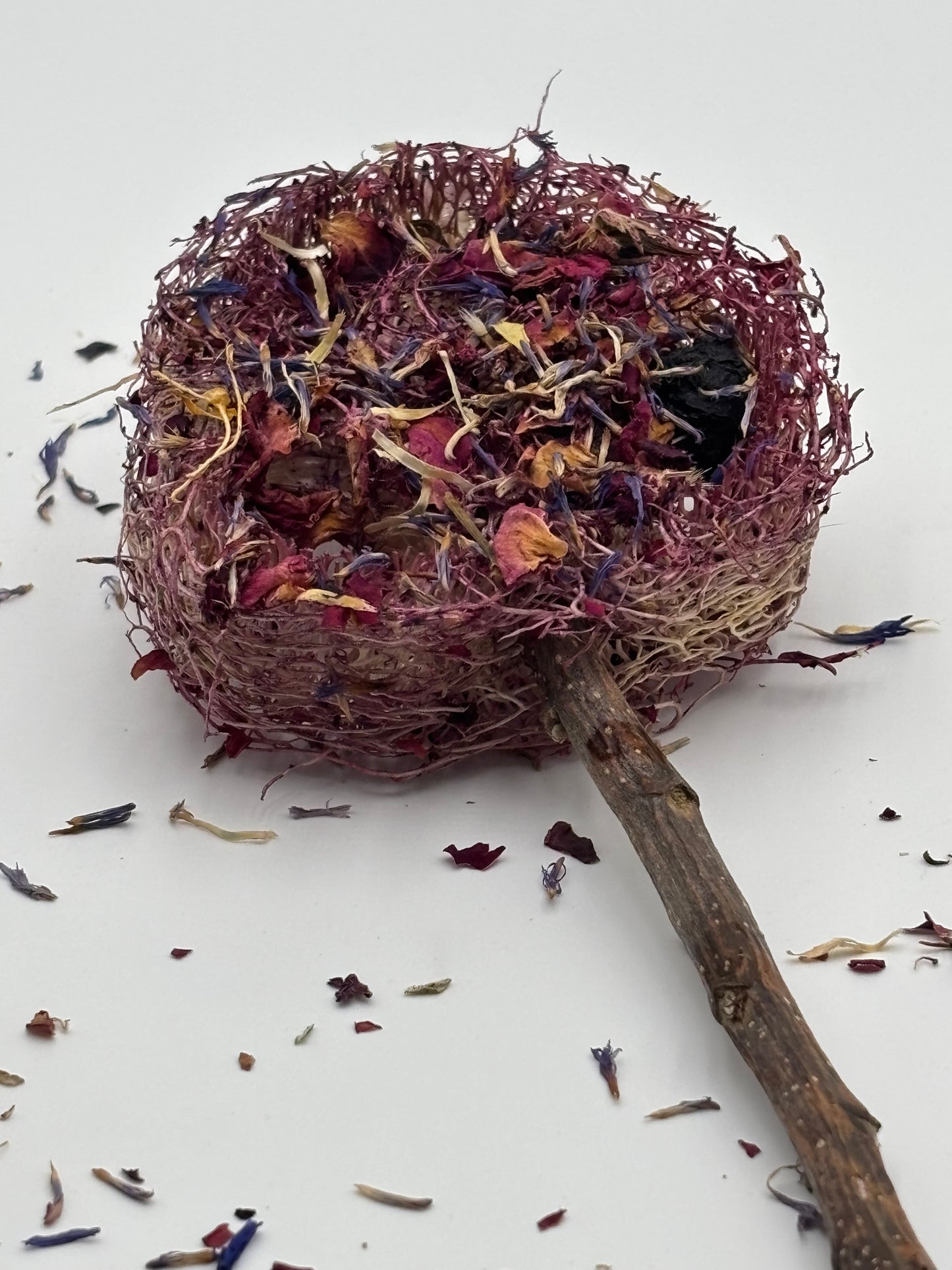 Berry Blossom Pop