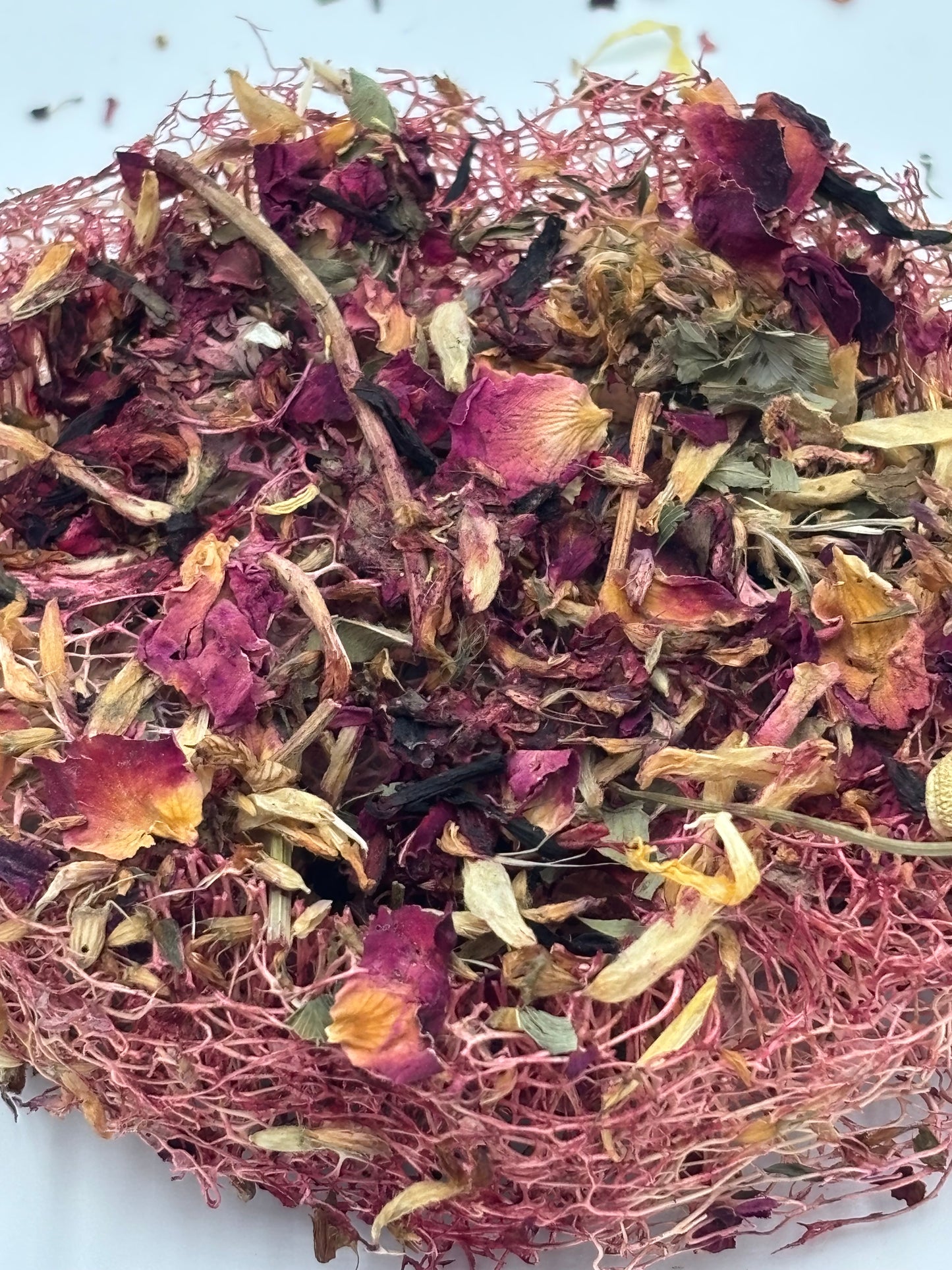 Bloom Garden Loofah Slice – Natural Rabbit Chew