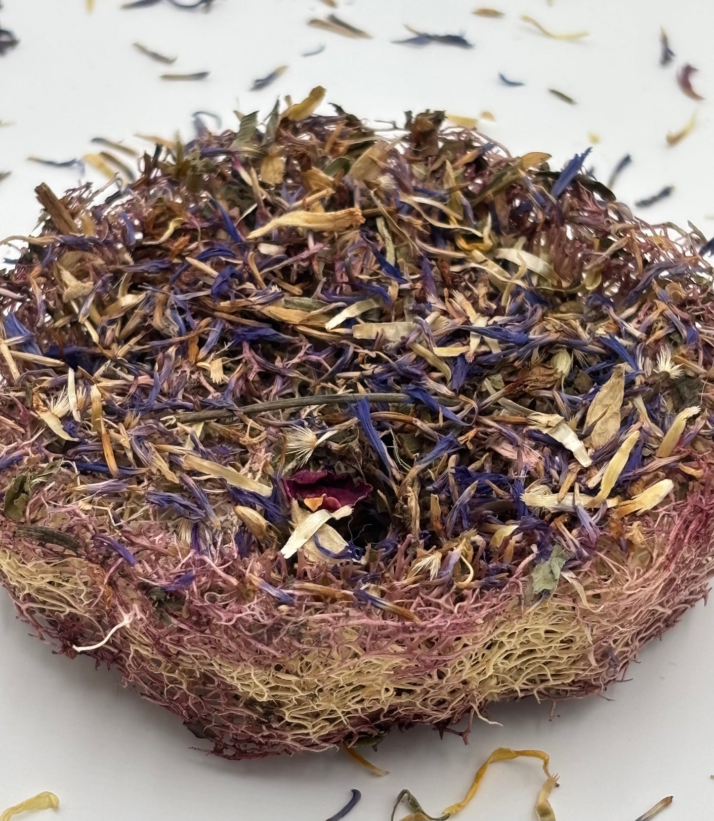 Bloom Garden Loofah Slice – Natural Rabbit Chew