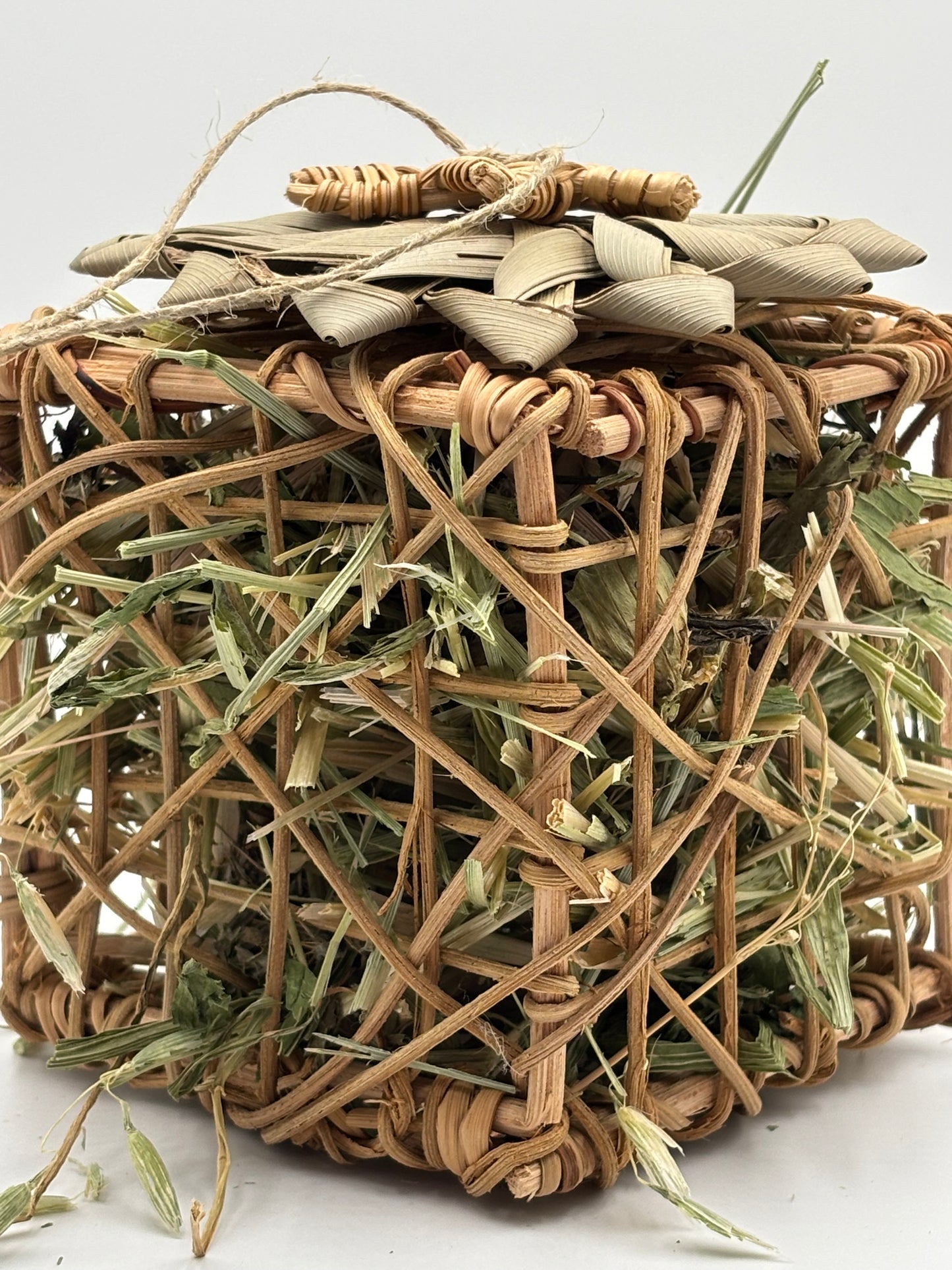 Foraging Cube by Miss Bun’s