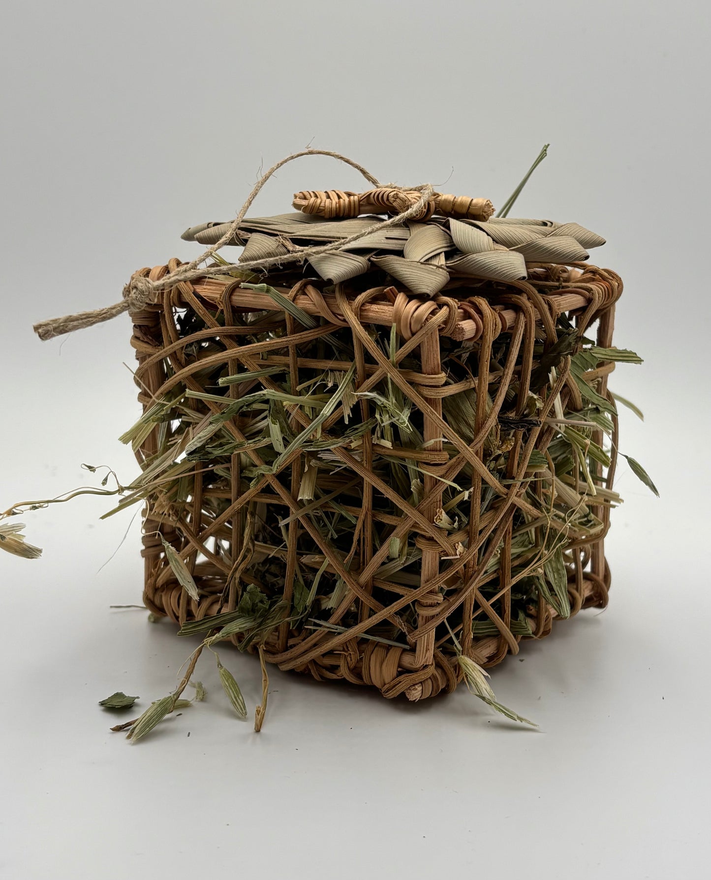 Foraging Cube by Miss Bun’s