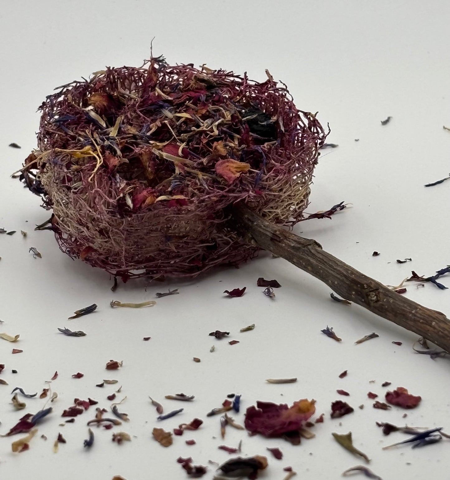 Berry Blossom Pop