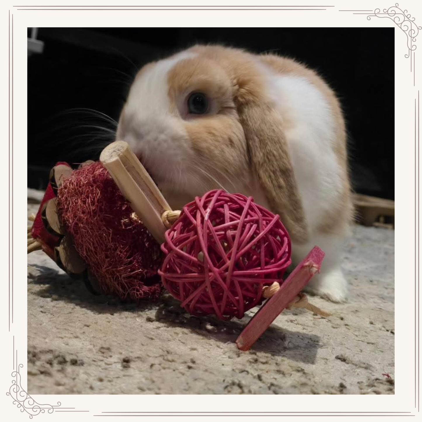 Beetroot Blossom Chew by Miss Bun’s