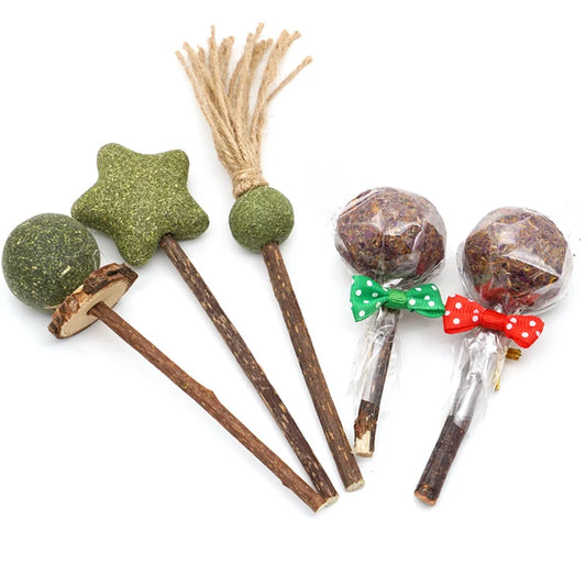Jouet à mâcher en bois de pommier biologique pour lapin – Bâton molaire en herbe naturelle pour petits animaux