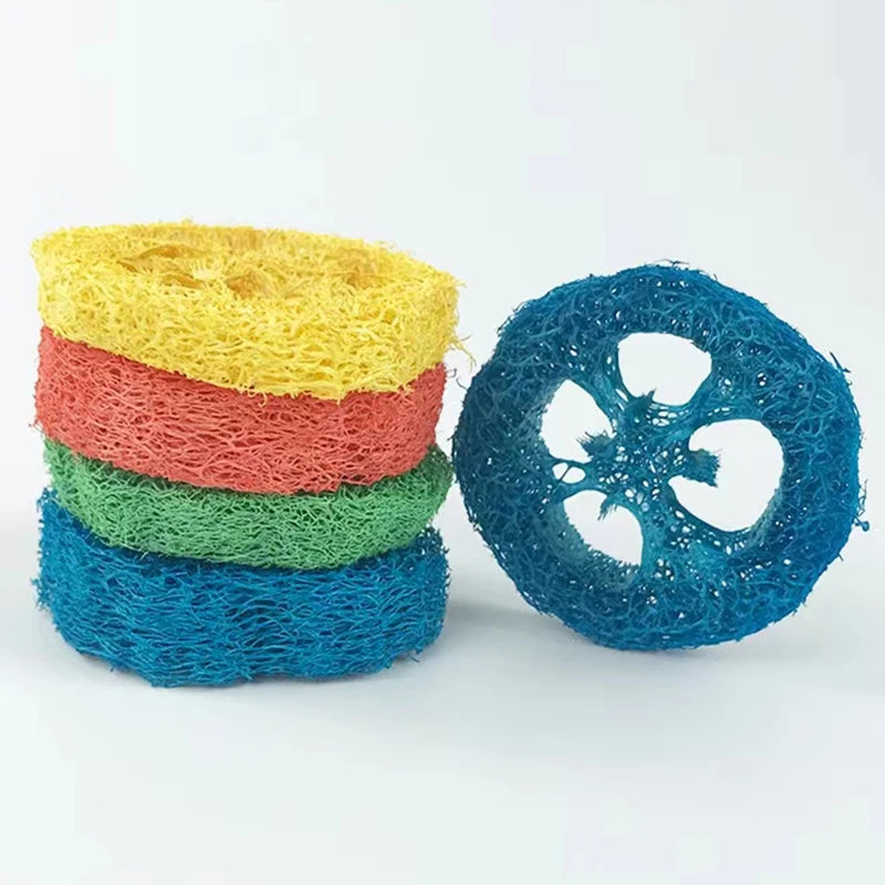 Lot de 10 jouets à mâcher en luffa naturel – Soutien dentaire et digestif pour petits animaux