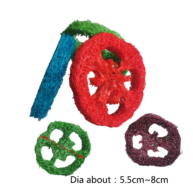 Lot de 10 jouets à mâcher en luffa naturel – Soutien dentaire et digestif pour petits animaux