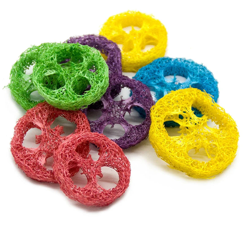 Lot de 10 jouets à mâcher en luffa naturel – Soutien dentaire et digestif pour petits animaux