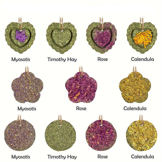 18 friandises à mâcher au foin de fléole des prés – Friandises dentaires naturelles pour lapins et petits animaux 